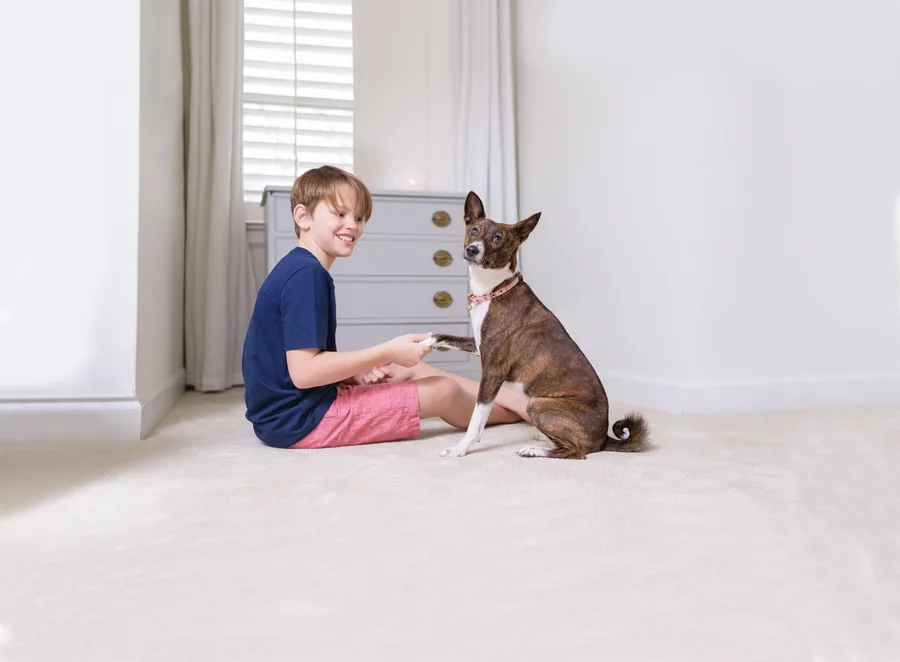 A boy and his dog relaxing on a freshly cleaned carpet