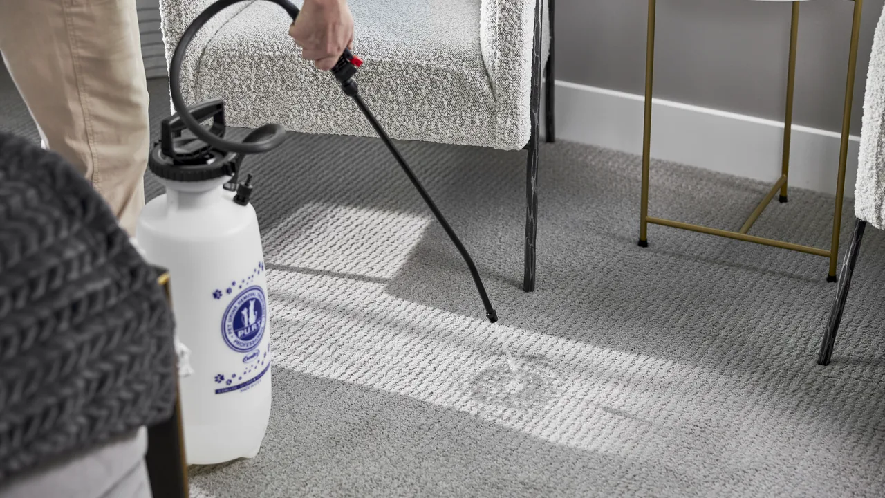See how Chem-Dry Pet Urine Removal Treatment works